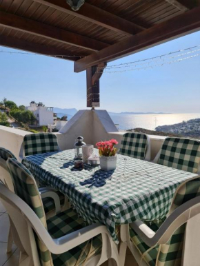 Summer Villa in Bodrum with 2 Car Parking 4 Bedroom 3 Bathroom 2 Garden فيلا مصيف مكونة من 4 غرفة و 3 حمام و حديقتين في بودروم تركيا, Milas